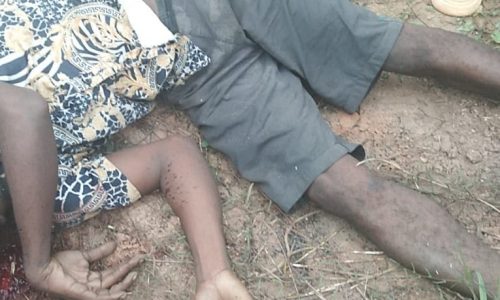 4d988fe2-4baa-4709-9a21-6e7174ec227f