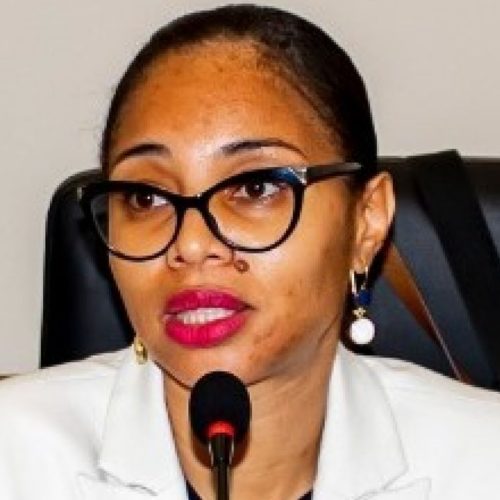 Érika Peixoto e as acusações que a ligam a Joel Leonardo