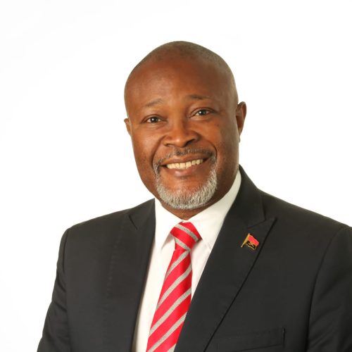 A língua não pode ser entrave para fazer política – Teka Ntu