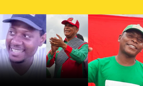 UNITA DOMINGOS MARQUES