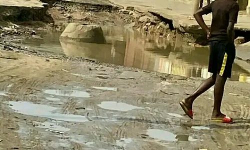 e32f09e3-5e68-4ad0-a46e-1e4ab61f54dc